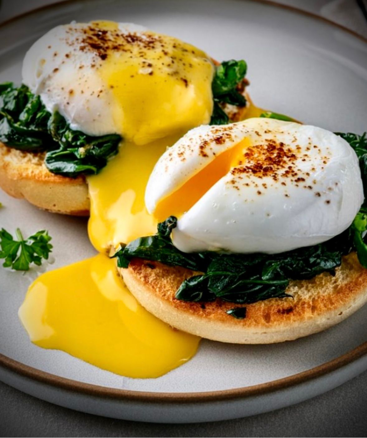 Inflight catering EGGW Luton gourmet dining